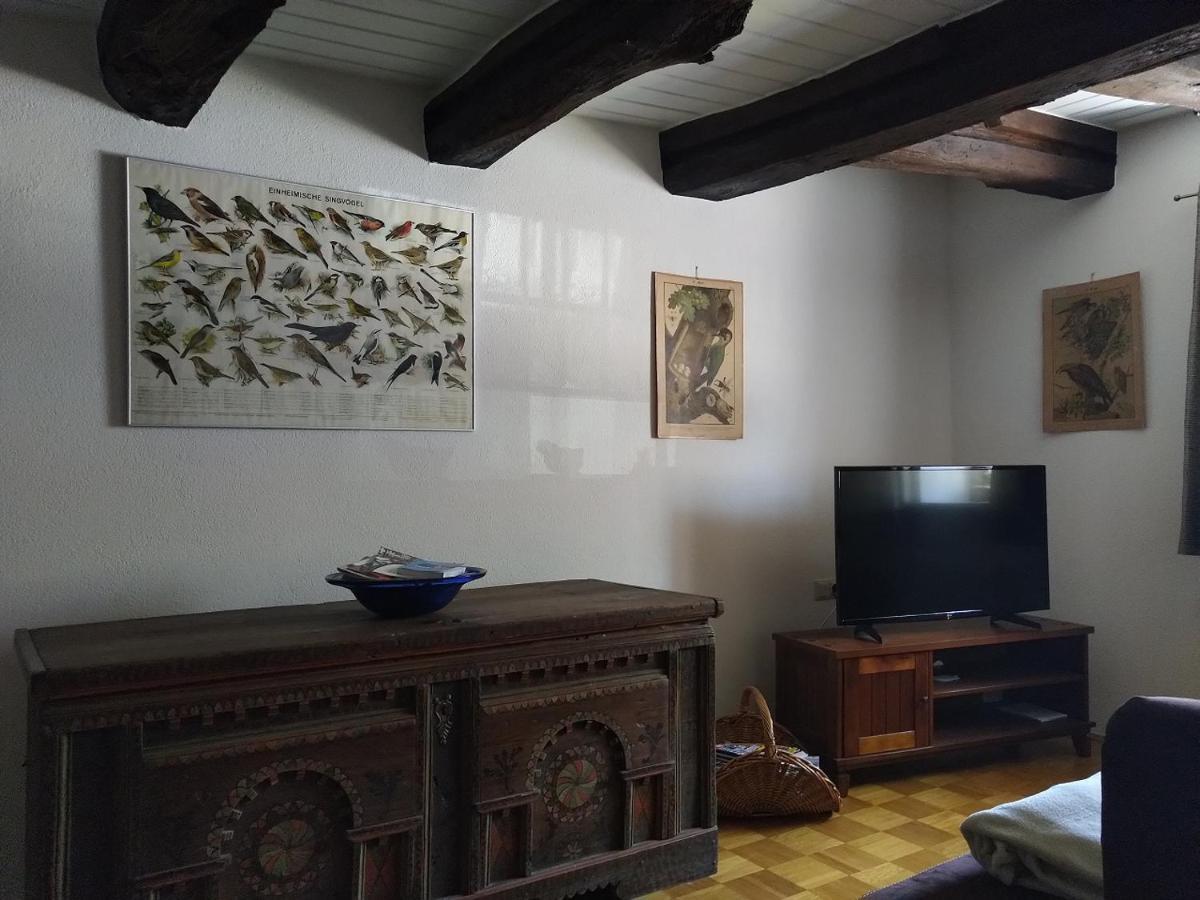 Fewo Im Mesnerhaus Mengen Dış mekan fotoğraf